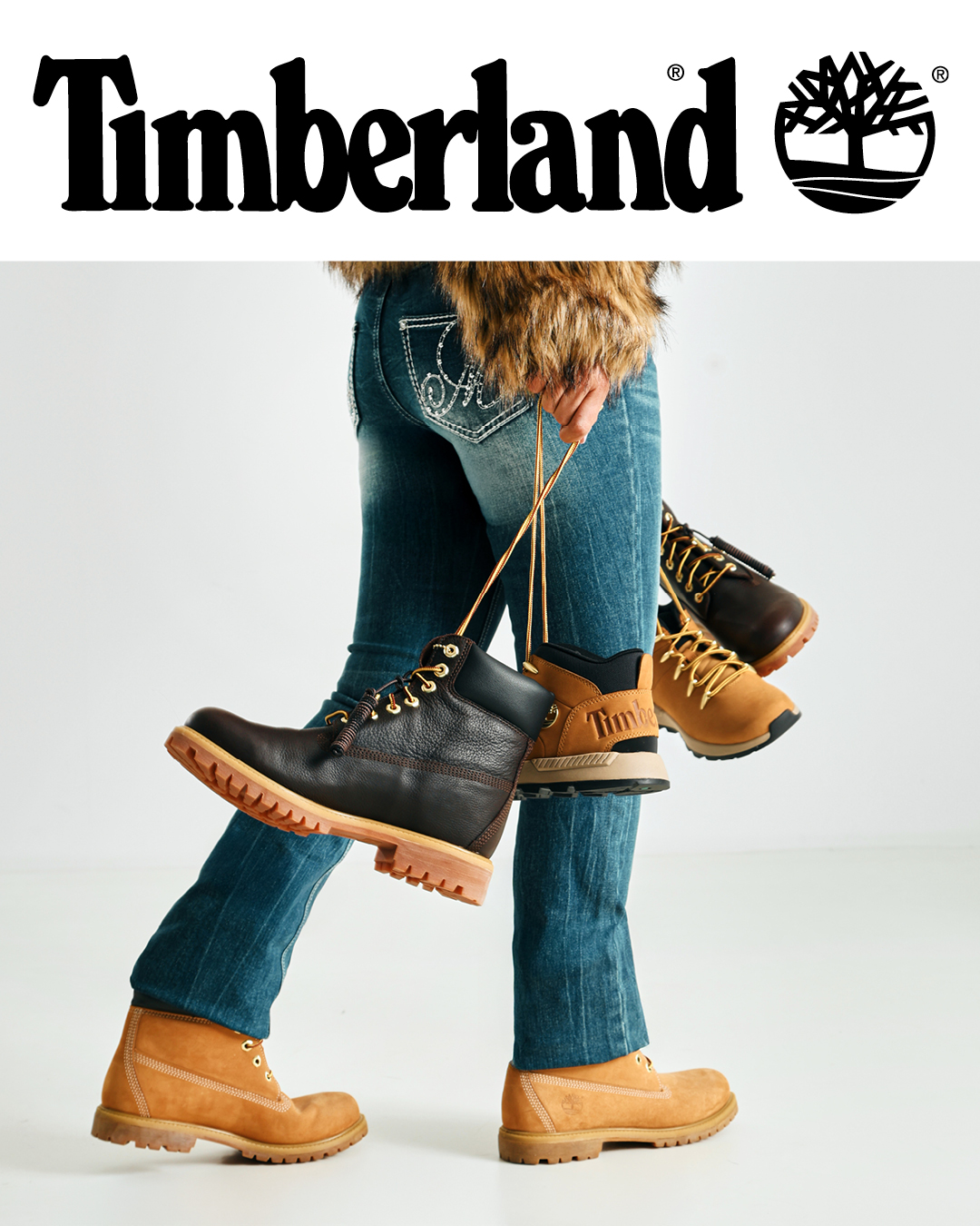 Timberland trend