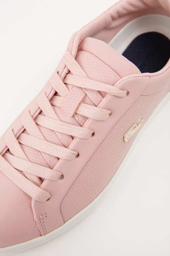 Lacoste straightset rose sales