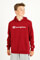 Image de Sweatshirt à capuchon