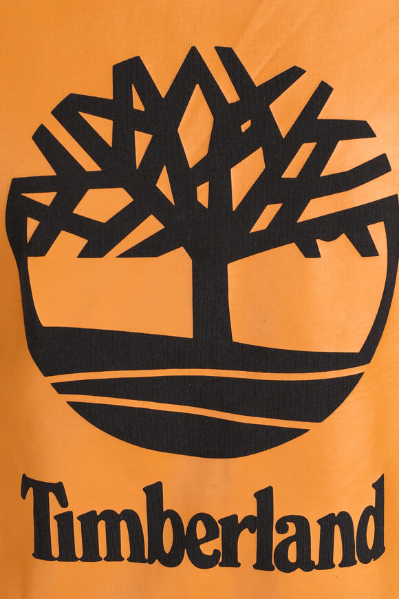 Bild von T-Shirt