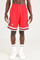 Bild von Mesh Shorts - Chicago Bulls