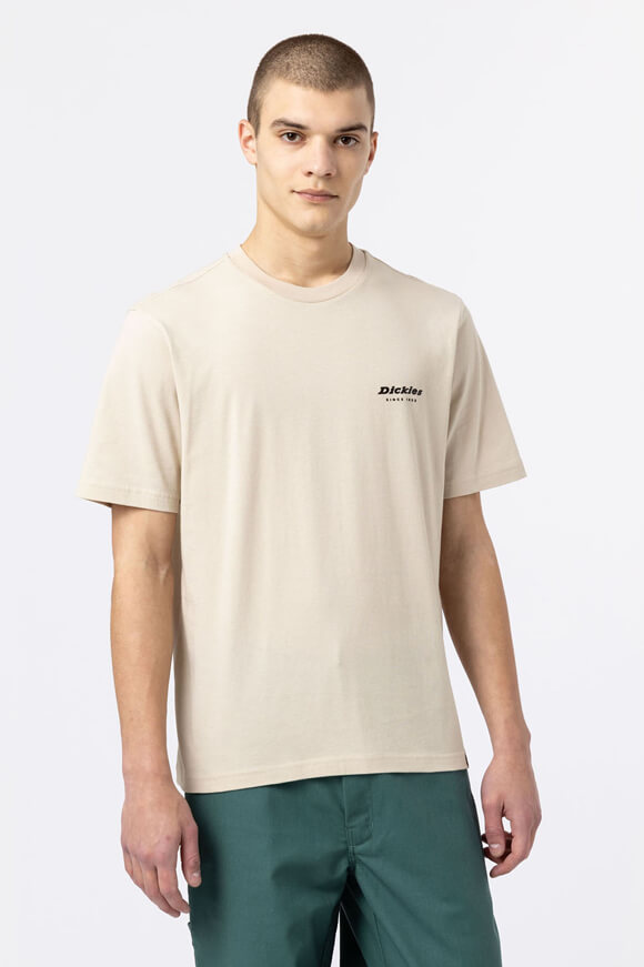 Dickies T-Shirt Cement