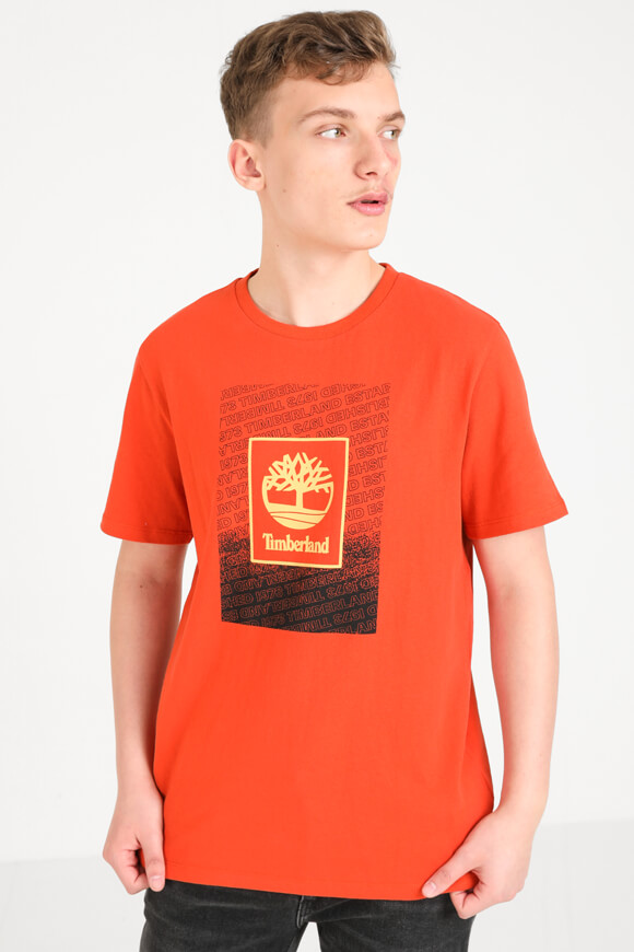 Bild von T-Shirt
