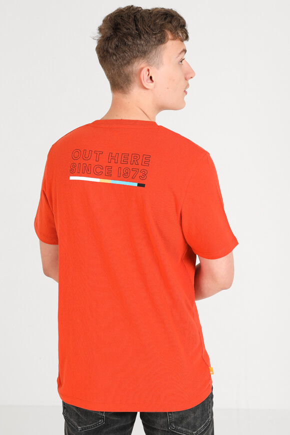 Bild von T-Shirt