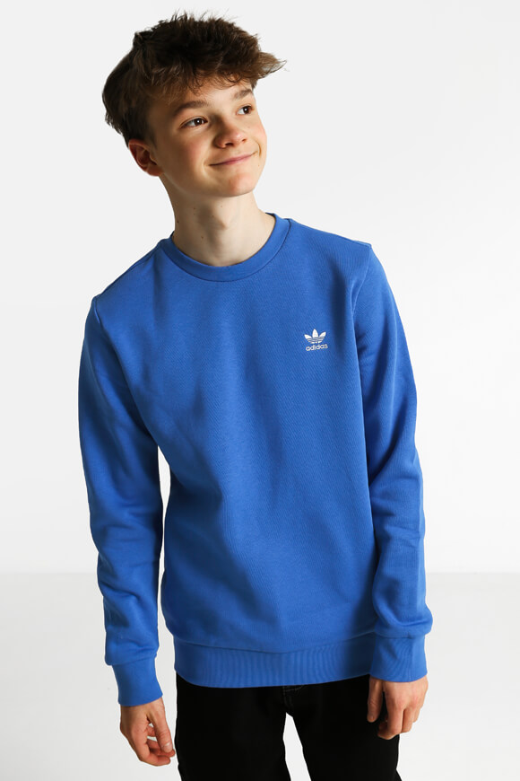 Adidas Originals Sweatshirt Blau