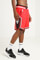 Bild von Mesh Shorts - Chicago Bulls