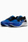Image de Air Zoom Pegasus 38 sneakers