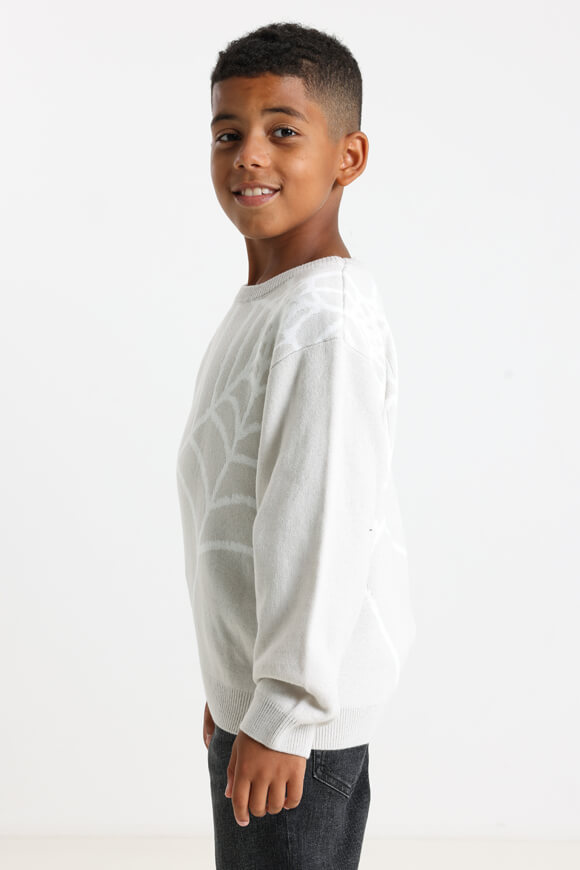 Bild von Strickpullover