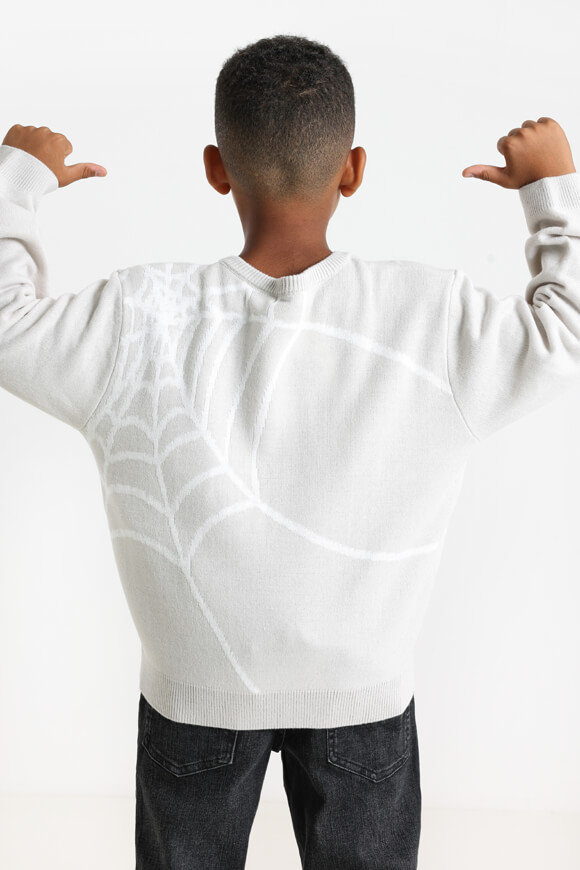 Bild von Strickpullover