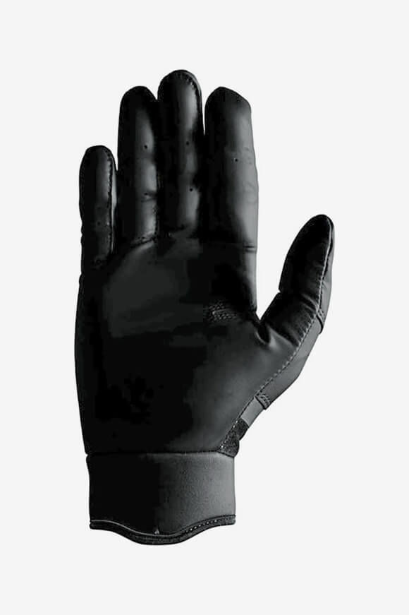 Image sur Gants de baseball pour batteur