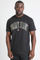 Bild von T-Shirt