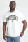Bild von T-Shirt