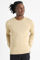 Image de Pull en tricot fin