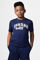 Bild von T-Shirt
