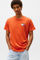 Image de Essential Flag t-shirt