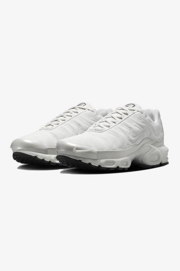 Image sur Air Max Plus sneakers