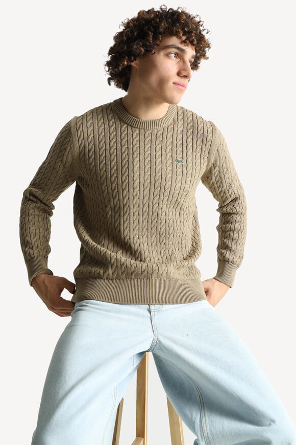 Bild von Strickpullover