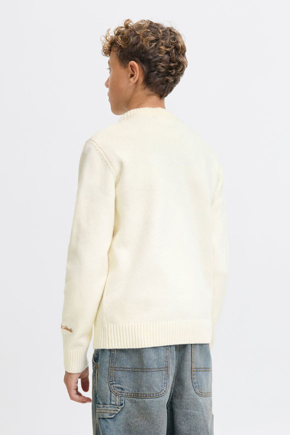 Bild von JORNORREBRO Strickpullover