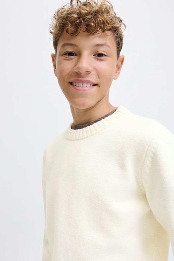 Bild von JORNORREBRO Strickpullover