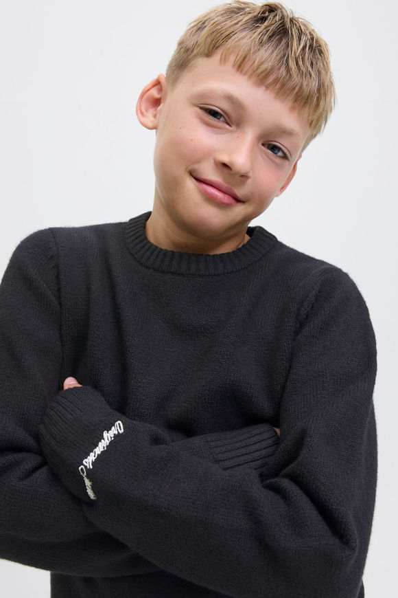 Bild von JORNORREBRO Strickpullover