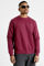 Image de Max Sweatshirt