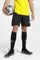 Bild von Teamgoal Trainingsshorts