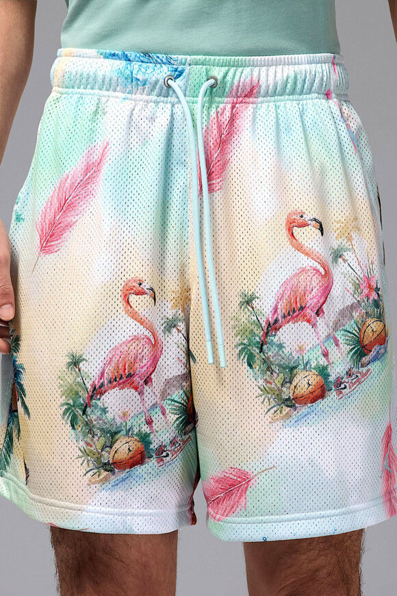Bild von Mesh Shorts