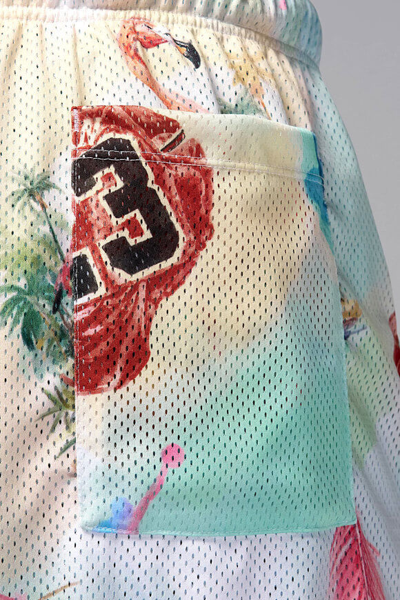 Bild von Mesh Shorts