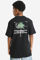 Bild von Signature Palm T-Shirt