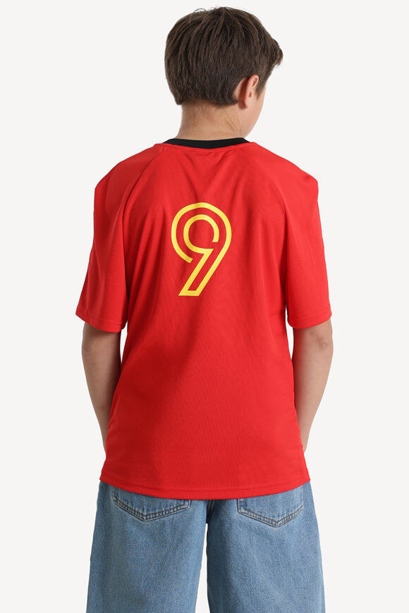 Image sur T-Shirt