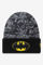 Bild von Beanie