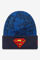 Bild von Beanie