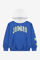 Image de Kapuzensweatshirt