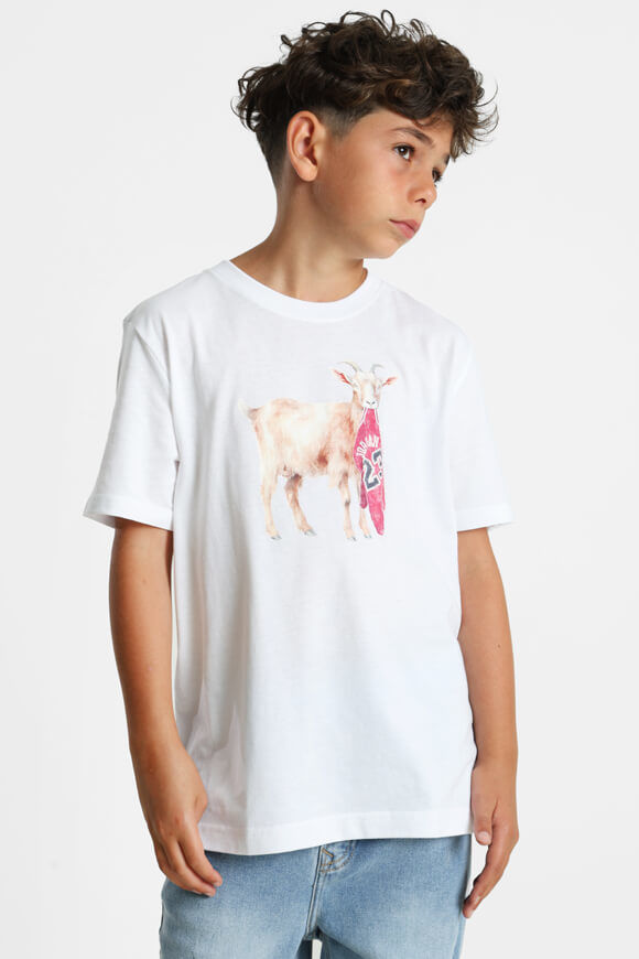 Image sur T-Shirt