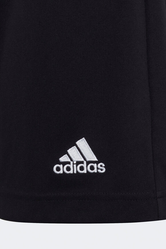 Image sur Entrada 22 Trainingsshorts