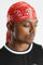 Bild von Satin Durag