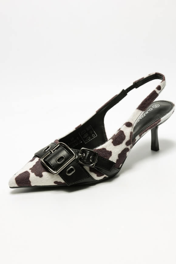 Bild von Hairy Pumps