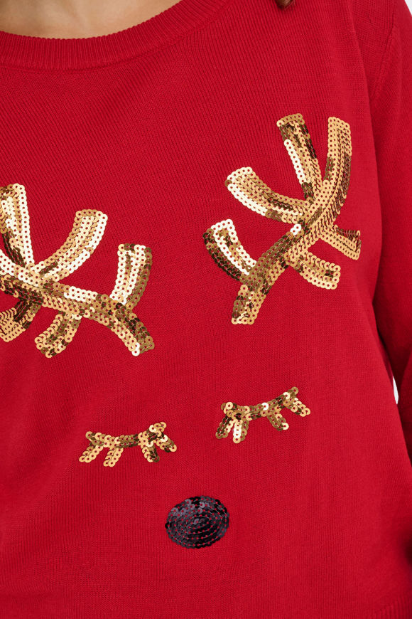 Bild von Weihnachtsstrickpullover